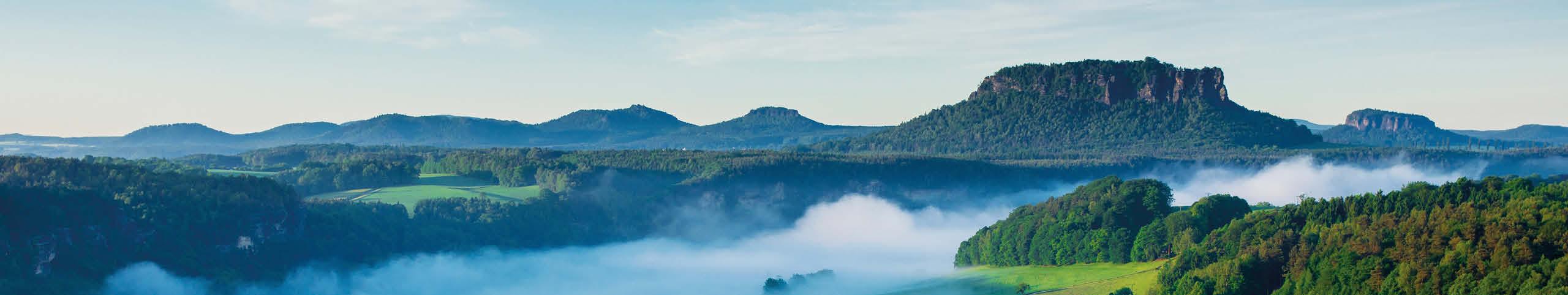 Banner Saksen - Duitsland